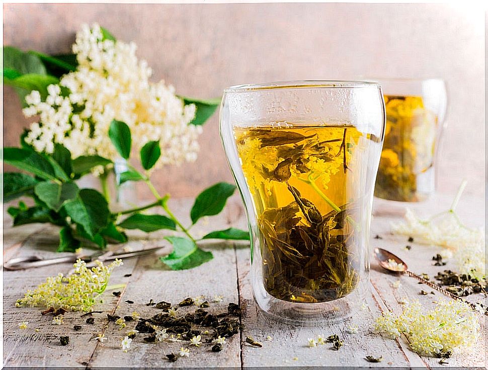 Elderflower to combat allergies