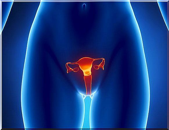 Diagnosis of cysts in the ovaries.