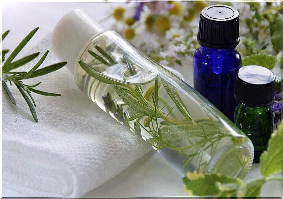 Rosemary water to beautify the complexion