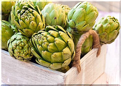 Artichoke