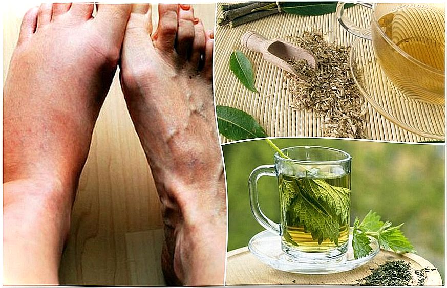 6 herbal teas to lower uric acid level