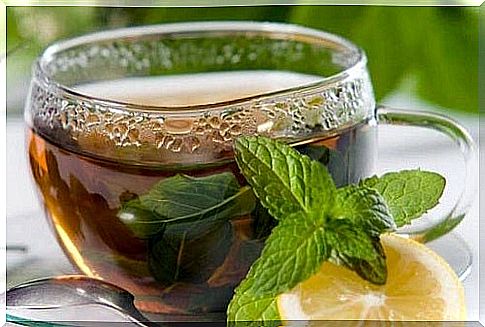 Infusion-of-green-tea