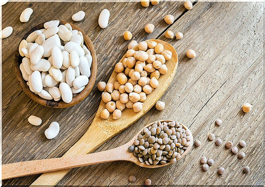 9 reasons to prefer plant protein