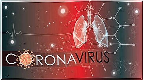 coronavirus in lung cells