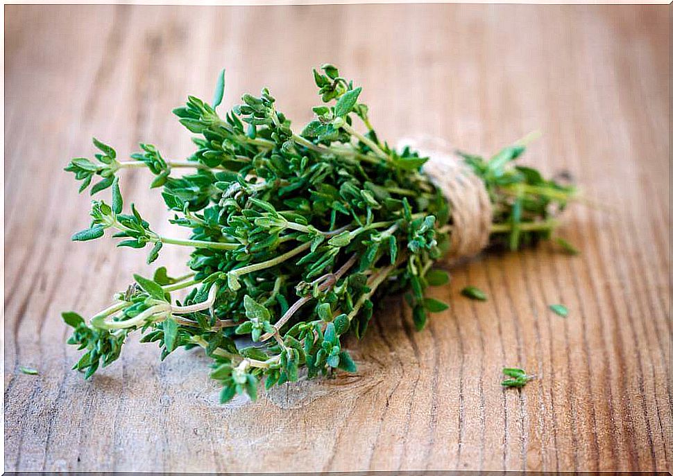 Thyme