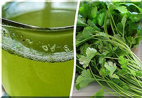 Coriander properties that you may not have known