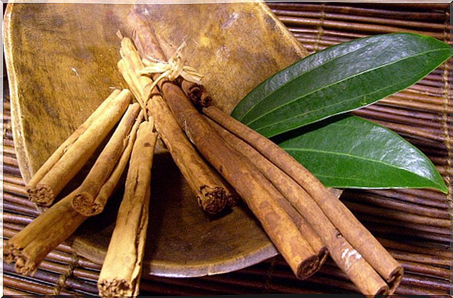 Cinnamon and laurel for reducing infusions