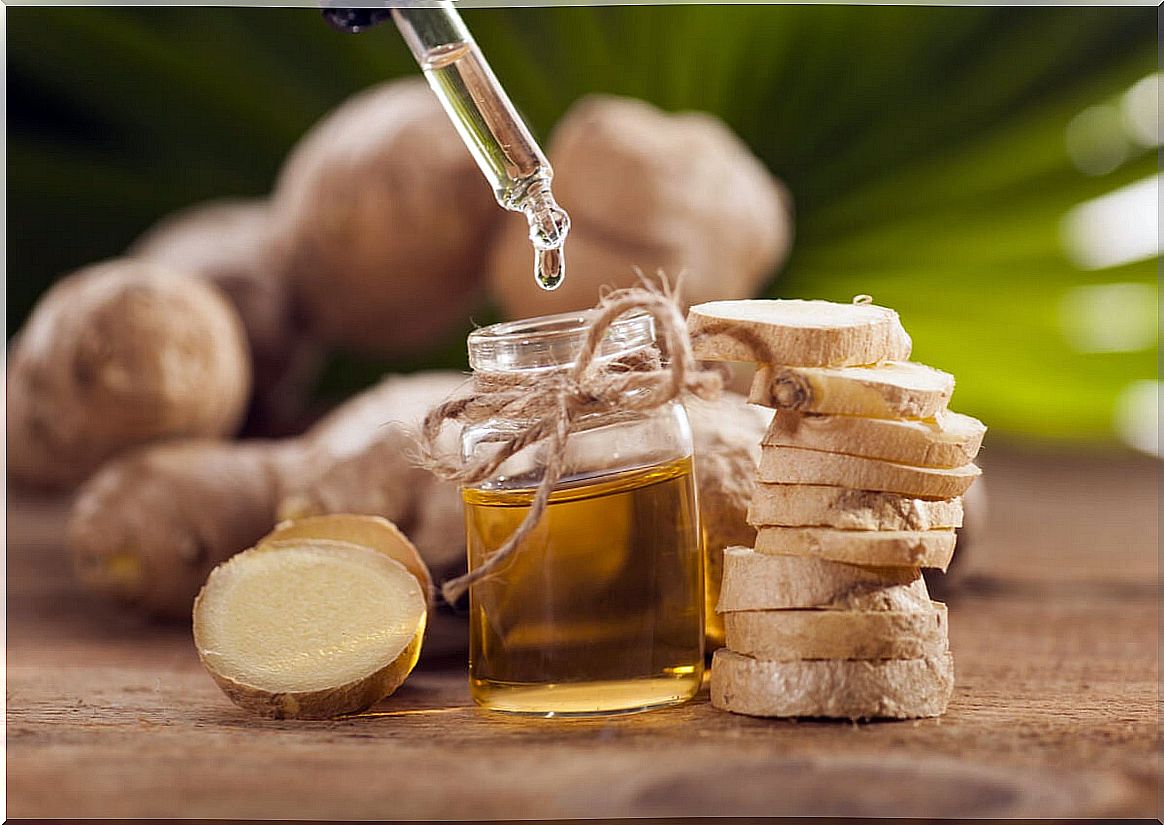 Ginger oil: benefits and how to prepare it at home