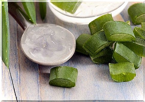 aloe vera repairs and hydrates the lips