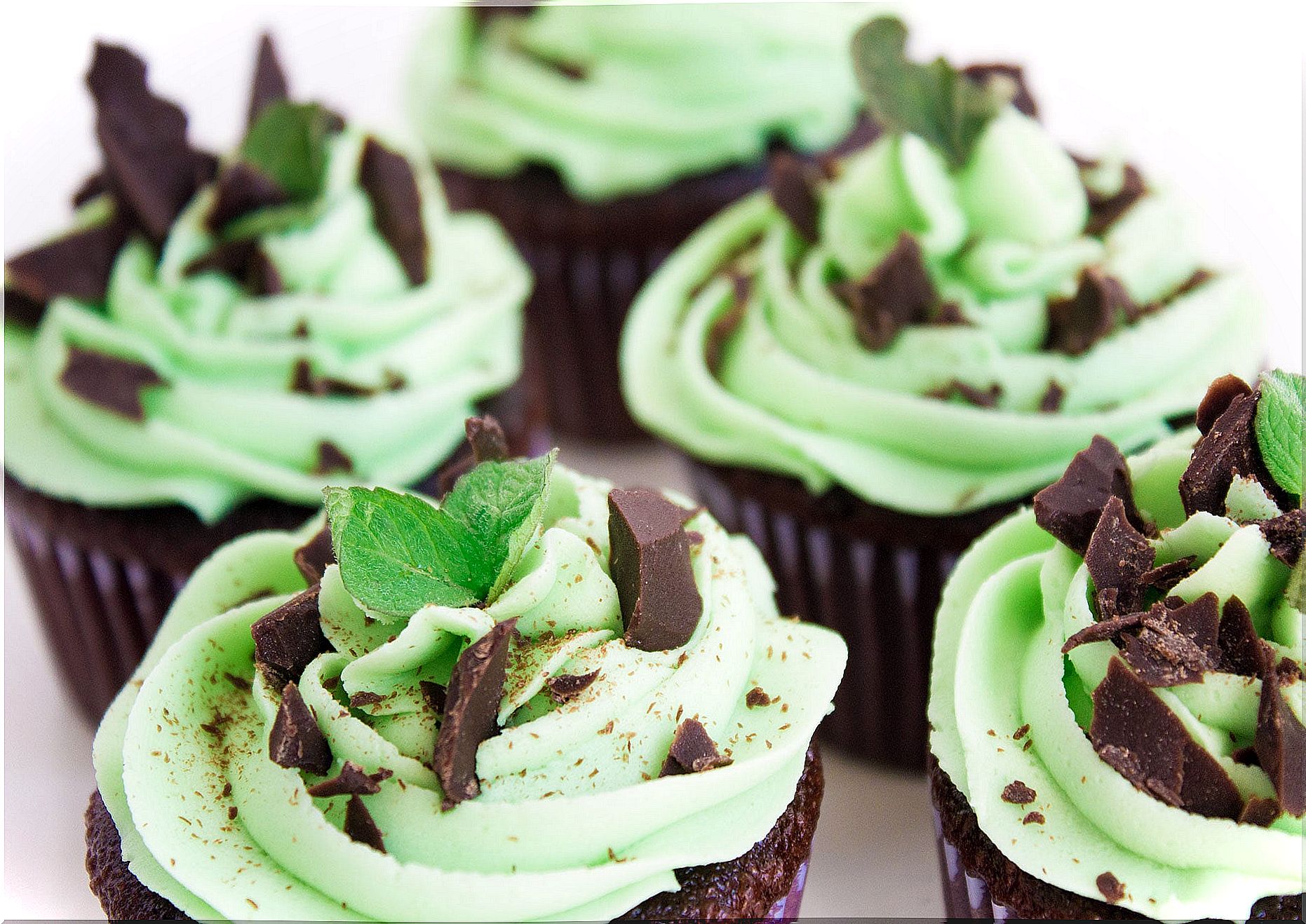 mint chocolate cupcakes