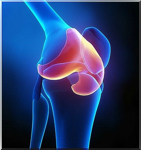 cartilage damaged knees