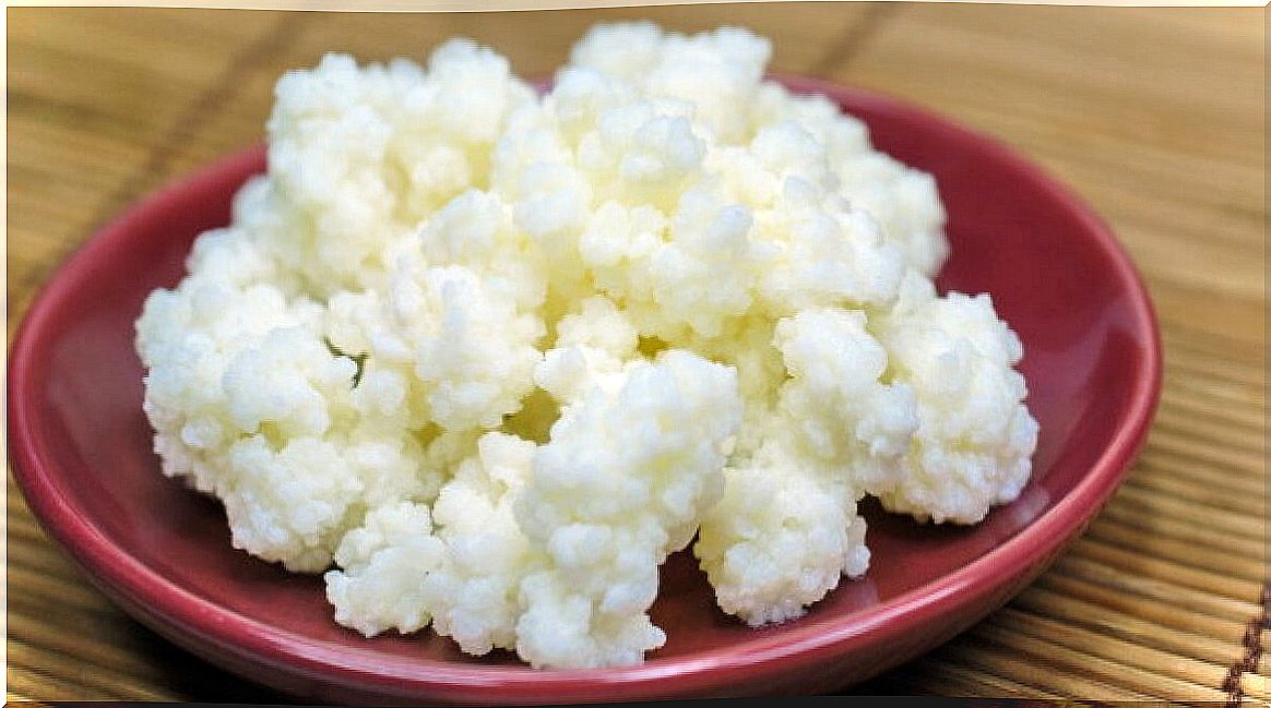 Kefir nodules.