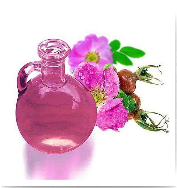 rosehip-oil-ideal-for-beautiful-skin