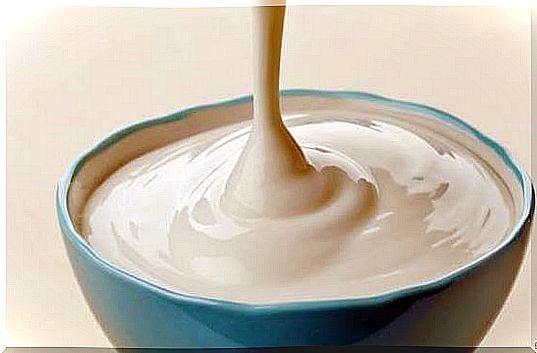 Bowl of liquid yogurt.