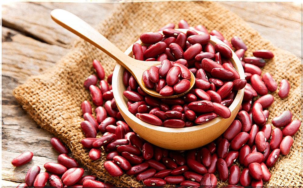 Kidney beans, non-dairy foods that contain calcium