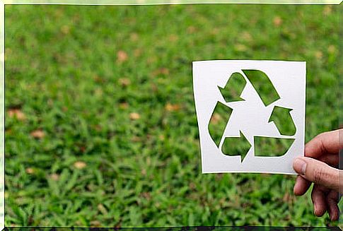 Recycle logo on grass background