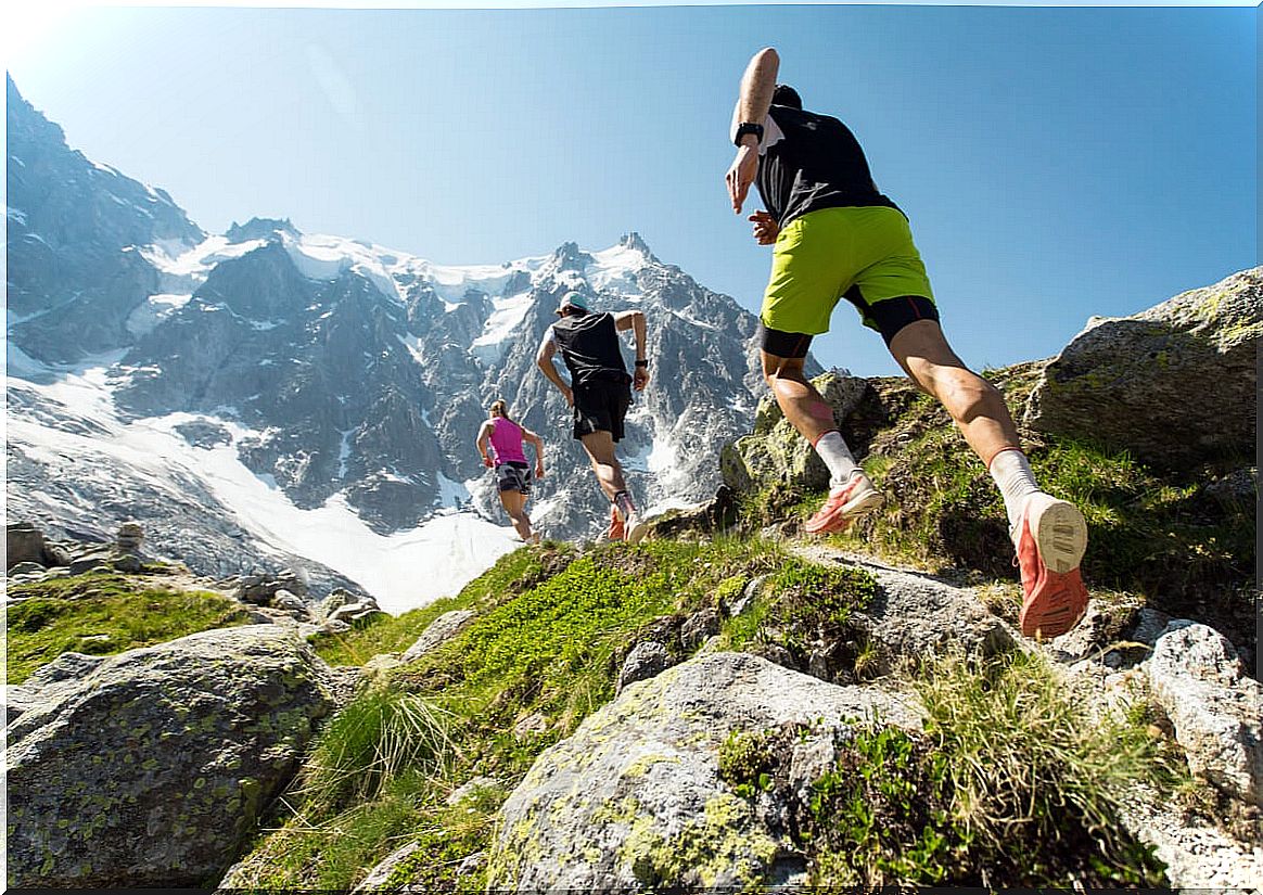 Trail run athletes in the mountains.