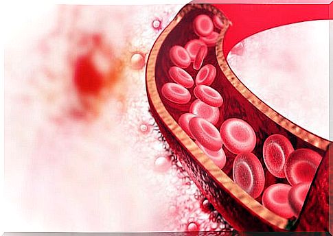 Recreation of blood vessel with red blood cells