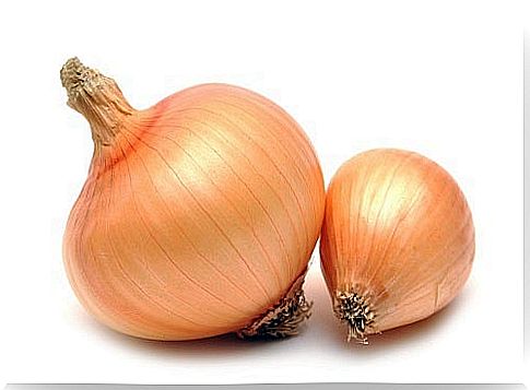 Onion.