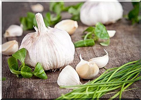 Garlic head and cloves