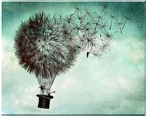 surrealism-dandelion