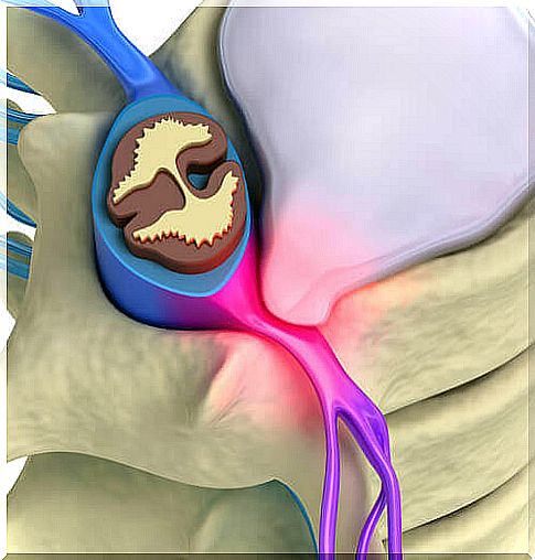 nociceptor pain stimuli